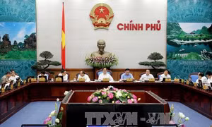 Tạo điều kiện cho nông nghiệp phát triển ổn định 