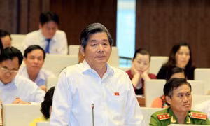 'Chục ký hành tím không đổi được bát phở thì cay mắt lắm'