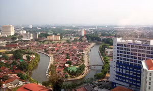 Công ty Malaysia bị phạt gần 1 triệu ringgit vì 'đốn cây'