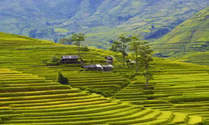 Yên Bái