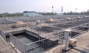 Doanh nghiệp bức xúc nếu tăng thuế tài nguyên