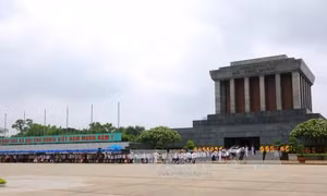Chỉ đạo, điều hành của Chính phủ