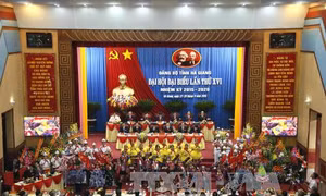 Kết quả bước đầu Đại hội một số đảng bộ trực thuộc Trung ương 
