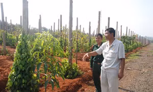“Anh Đoan từ thiện”