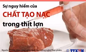 Độ nguy hiểm của chất tạo nạc trong thịt lợn