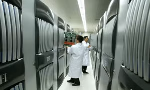 Máy tính nhanh nhất thế giới "bất động" sau vụ nổ Thiên Tân