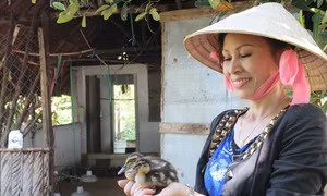 Cù lao vịt trời của nữ Việt Kiều