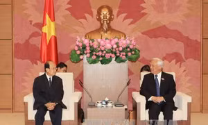 Phó Chủ tịch Quốc hội tiếp Đoàn Ủy ban Hòa bình và Đoàn kết Lào 