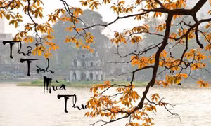 Mối giao cảm ngọt ngào giữa thơ và nhạc