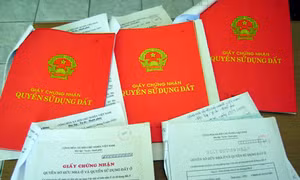 Bình Dương