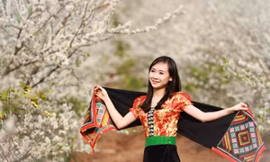 Xuân đến