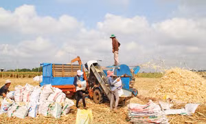 Đồng Nai