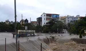 Mưa lũ gây thiệt hại nặng ở Bắc Bộ