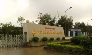 Tuyên Quang
