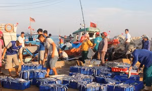 Bình yên “chợ” cảng biển Lý Sơn