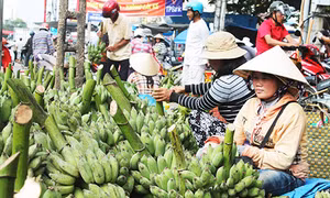 Phú Yên