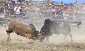 Cao Bằng