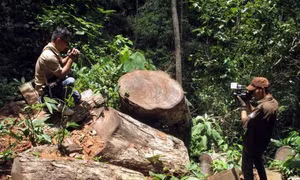 Điện Biên