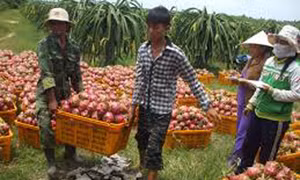Cạnh tranh hàng nông sản ở mức khốc liệt