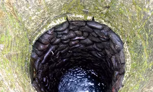 Bình Phước