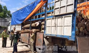 Lâm Đồng