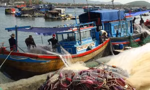Quảng Nam