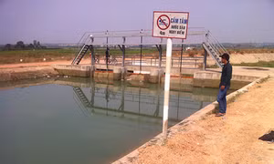 Bình Dương
