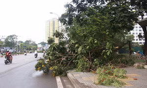 Chiều tối nay lại mưa dông, đề phòng tố lốc