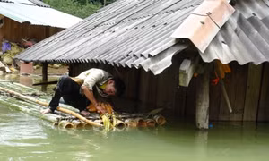 NHNN yêu cầu các TCTD hỗ trợ khắc phục hậu quả thiên tai 