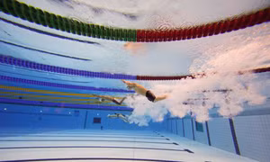Việt Nam đoạt 4 HCV bơi lội ASEAN Para Games 8