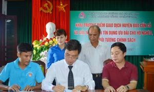 Quảng Trị