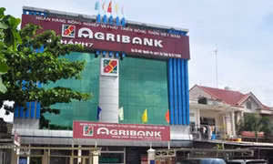 Xét xử vụ án thất thoát hơn 600 tỷ đồng ở Agribank Chi nhánh 7 