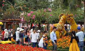 Không khí xuân trên thành phố mang tên Bác