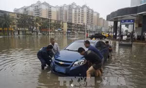 Bão Mujigae tràn vào miền Nam Trung Quốc