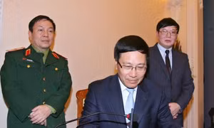 Mở tổng đài hỗ trợ bảo hộ công dân, pháp nhân Việt Nam ở nước ngoài 