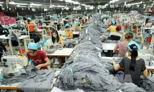 Chương trình hành động của Chính phủ về cải cách chính sách tiền lương
