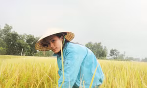 Nghị lực nữ sinh xứ Nghệ