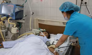 Sáu người bị ngộ độc do ăn cá nóc