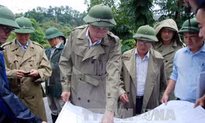 Quảng Ninh