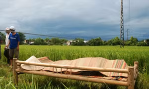 Cảnh báo tai nạn điện ở Bạc Liêu 