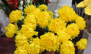 Hoa giả cạnh tranh... hoa thật