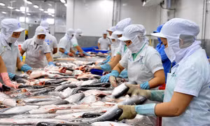 Hướng đến xuất khẩu bền vững