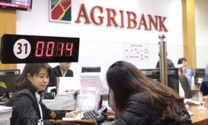 Triển khai Đề án tái cơ cấu: Agribank đang “vượt lên chính mình” 