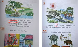 Sách giáo khoa “bất cần” ngữ pháp?