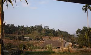 Tuyên Quang