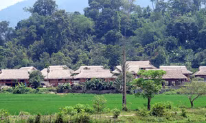 Tuyên Quang