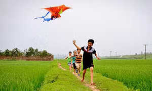 Những mùa hè đã xa…