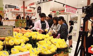 Xoài Việt Nam chính thức vào thị trường Nhật Bản
