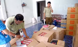 TP HCM