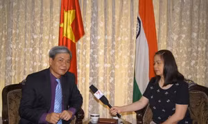 ĐSQ Việt Nam tại Ấn Độ nỗ lực cứu hộ công dân tại Nepal